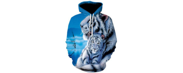 sweatshirt or a hoodie
